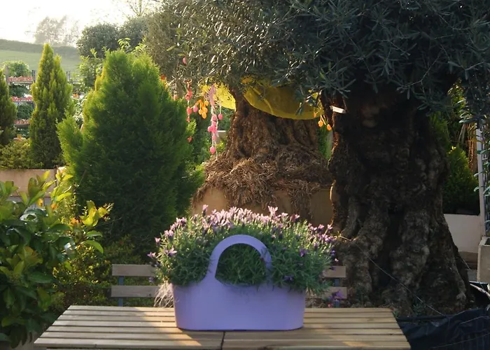 Residenza I Ciclamini 4* Rzym